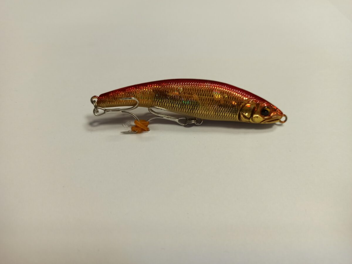 IMG 20200312 131134 scaled